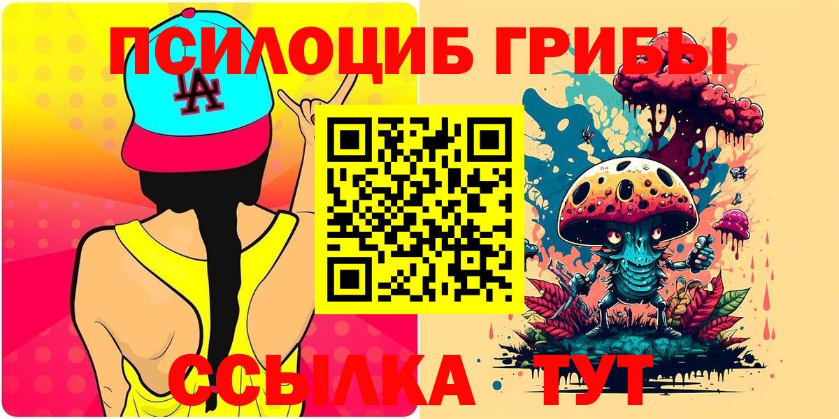 Псилоцибиновые грибы Psilocybe  Псилоцибиновые грибы MAGIC MUSHROOMS  Донской  Вход с VPN 