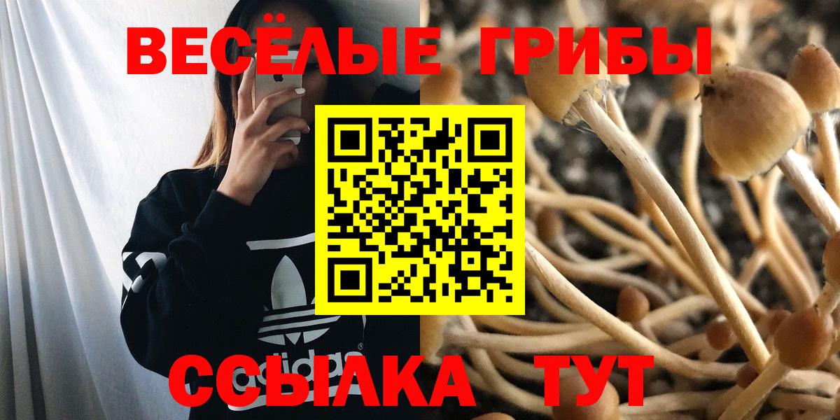 Галлюциногенные грибы мицелий Донской